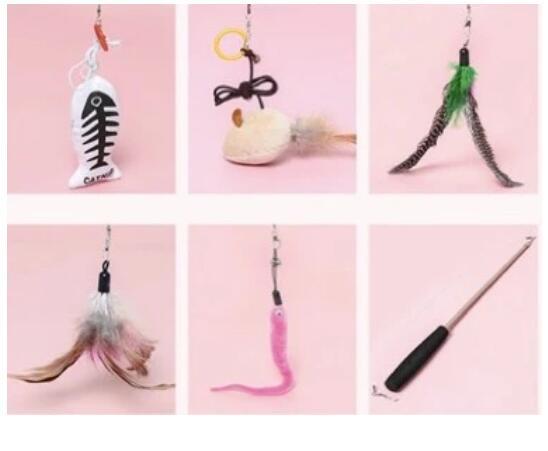 Interactive Cat Toy - Retractable Feather Teaser Fishing Rod